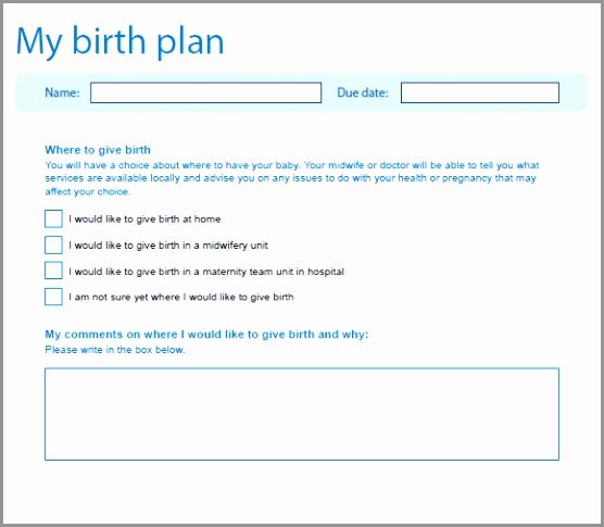 Simple Birth Plan Template Inspirational 9 Birthing Plan Template Uk Tyetu
