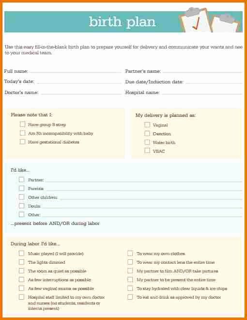 Simple Birth Plan Template Lovely Simple Birth Plan Template Idealstalist
