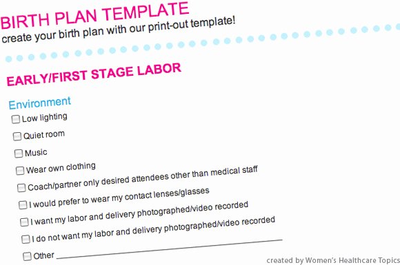 Simple Birth Plan Template New Birth Plan