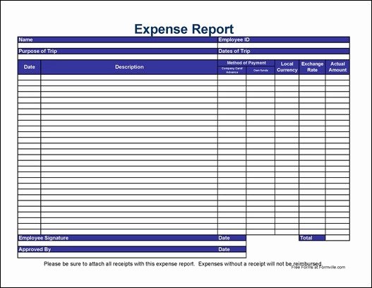 Simple Expense Report Template New Free Simple International Travel Expense Report From formville