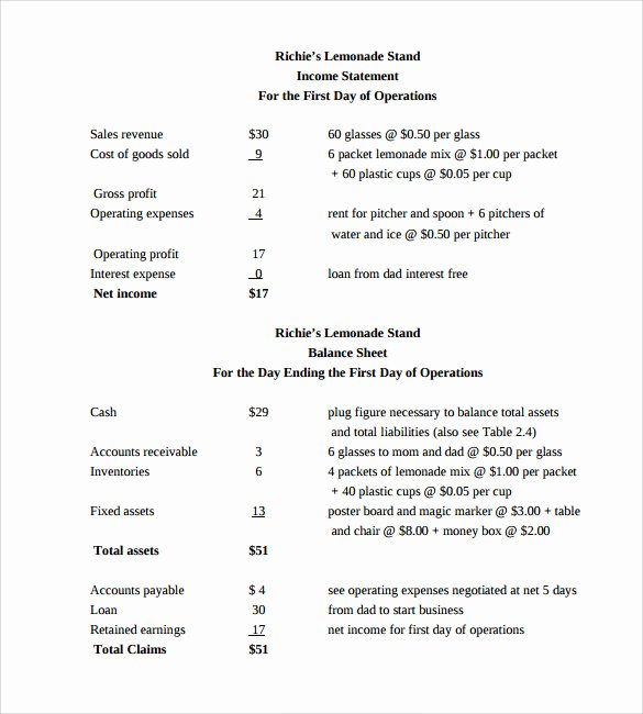 Simple Income Statement Template Fresh 7 Simple In E Statements to Download for Free
