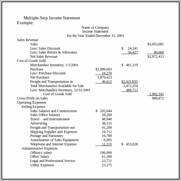 Simple Income Statement Template New Business In E Statement Template Template Resume