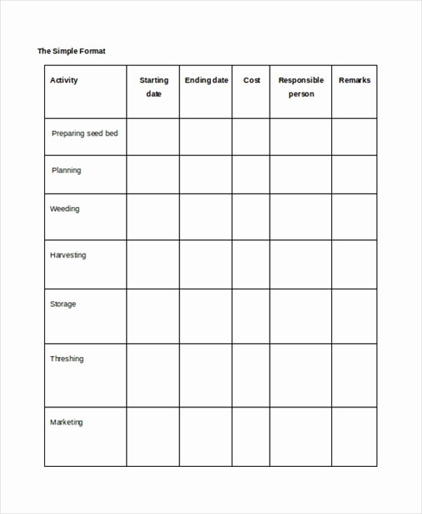 Simple Project Plan Template Word Awesome Project Implementation Template 6 Free Word Pdf