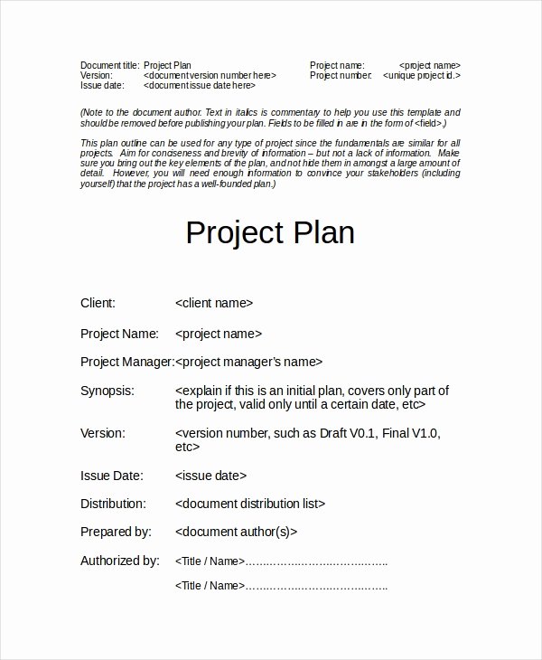 Simple Project Plan Template Word Best Of Project Plan Template 12 Free Word Psd Pdf Documents