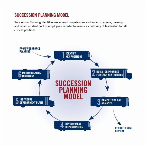 Simple Succession Plan Template Awesome 10 Succession Planning Templates