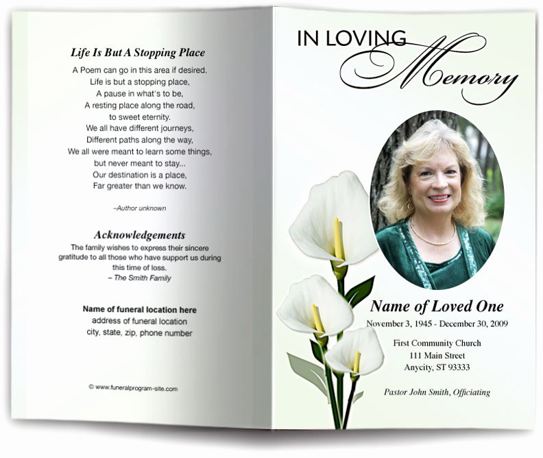Single Fold Brochure Template Unique Funeral Brochures Funeral Brochures Calle Preprinted Title