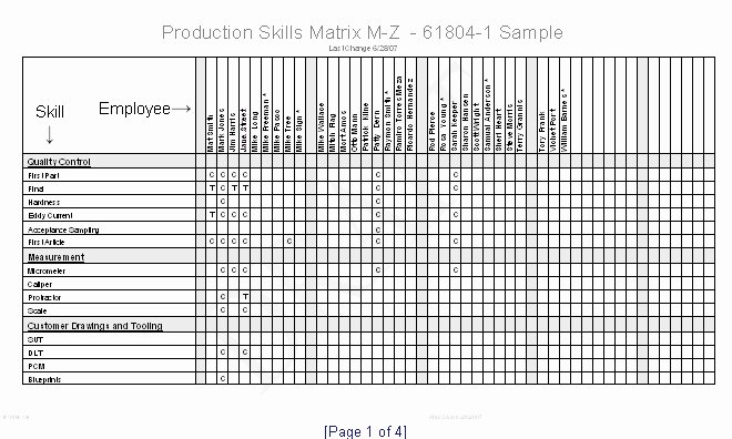 Skills Matrix Template Excel Awesome Skills Matrix Template Excel Skill Matrix Templates Station