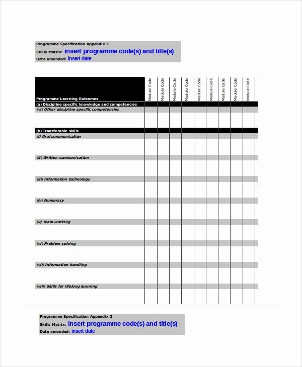 Skills Matrix Template Excel Elegant Excel Matrix Template 6 Free Excel Documents Download