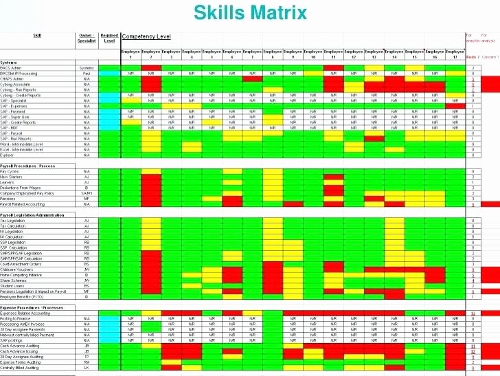 Skills Matrix Template Excel Elegant Skills Matrix Template Excel Training Skill format