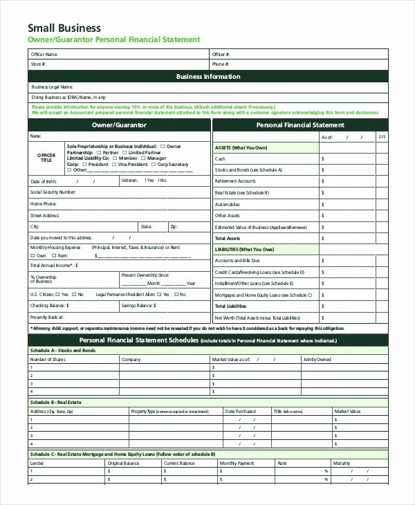 Small Business Financial Statement Template Fresh Financial Statement form 11 Free Pdf Documents Download