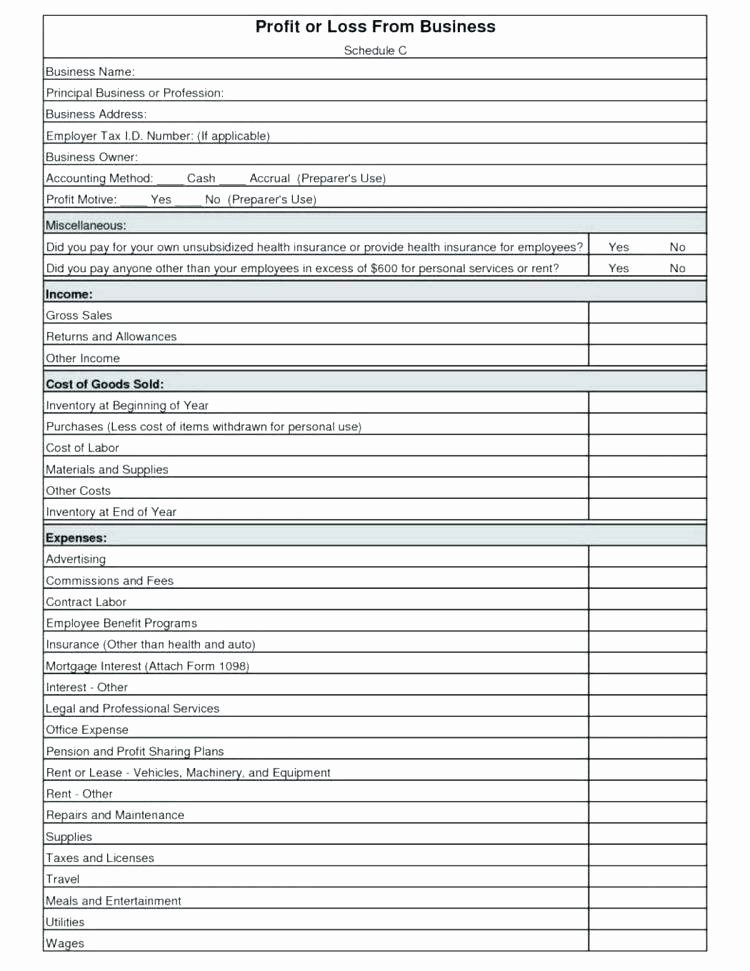Small Business Income Statement Template New Excel Small Business Tax Template