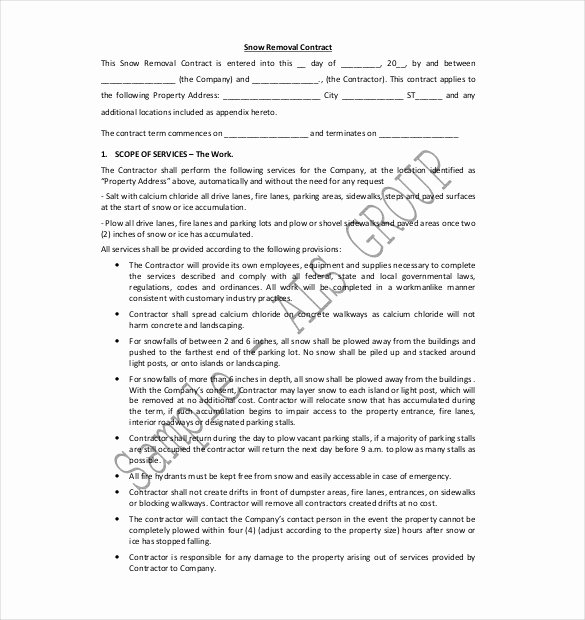 Snow Removal Contract Template Luxury 20 Snow Plowing Contract Templates Google Docs Pdf