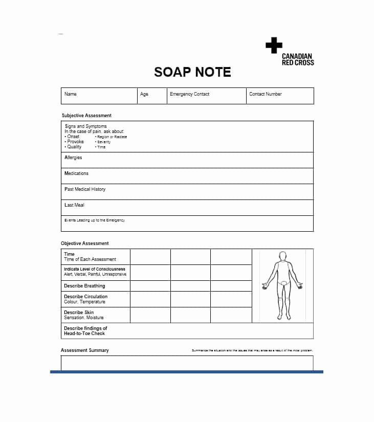 Soap Note Template Word Best Of 40 Fantastic soap Note Examples &amp; Templates Template Lab