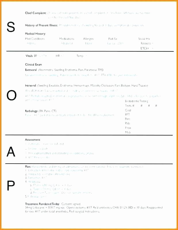 Soap Note Template Word Inspirational soap Note Template Word Wordpress form – Royaleducationfo