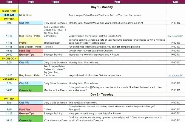 Social Media Plan Template Excel Awesome Campaign Schedule Template Unique social Media Campaign