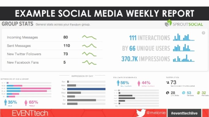 Social Media Reports Template Lovely social Media Report Template social Media Weekly