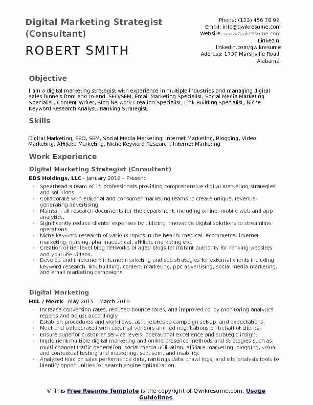 social media resume template