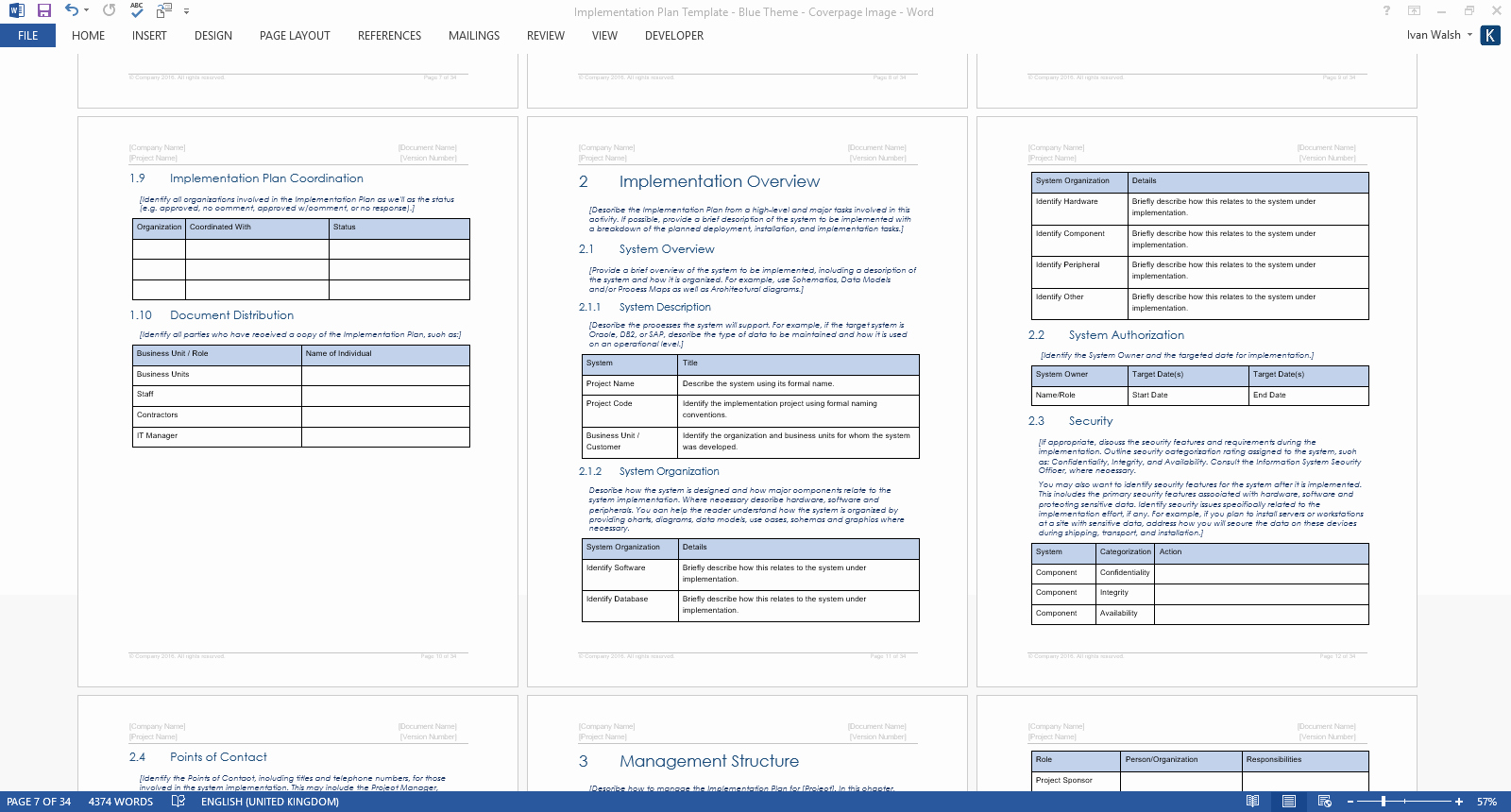 Software Implementation Project Plan Template Awesome Implementation Plan Template Ms Word