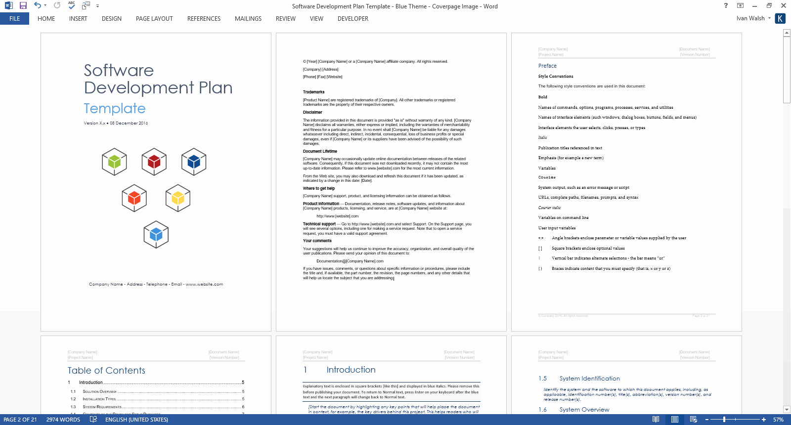 Software Project Plan Template Inspirational software Development Plan Template Ms Word