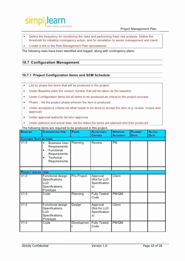 Software Project Planning Template Best Of Project Risk and Contingency Plan Example Plans Template