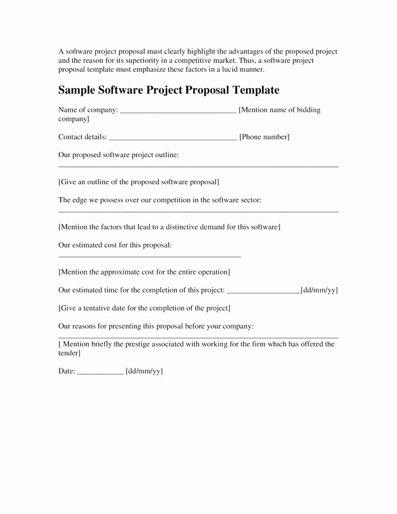 Software Project Proposal Template Luxury 9 software Project Proposal Examples Pdf