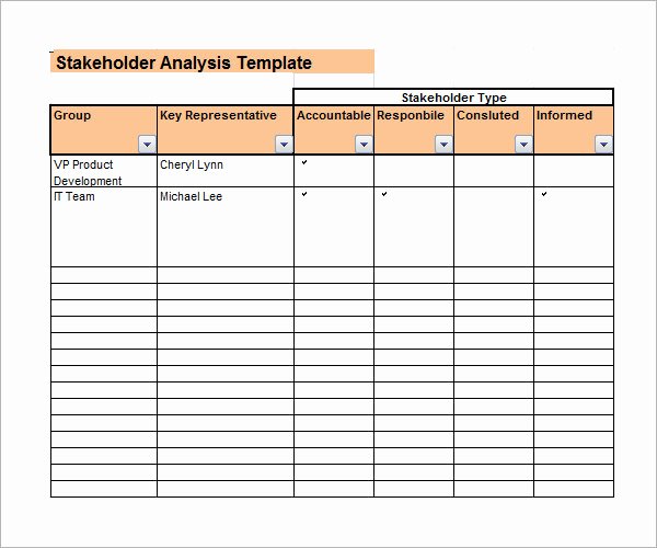Stakeholder Analysis Template Excel Beautiful 10 Stakeholder Analysis Samples