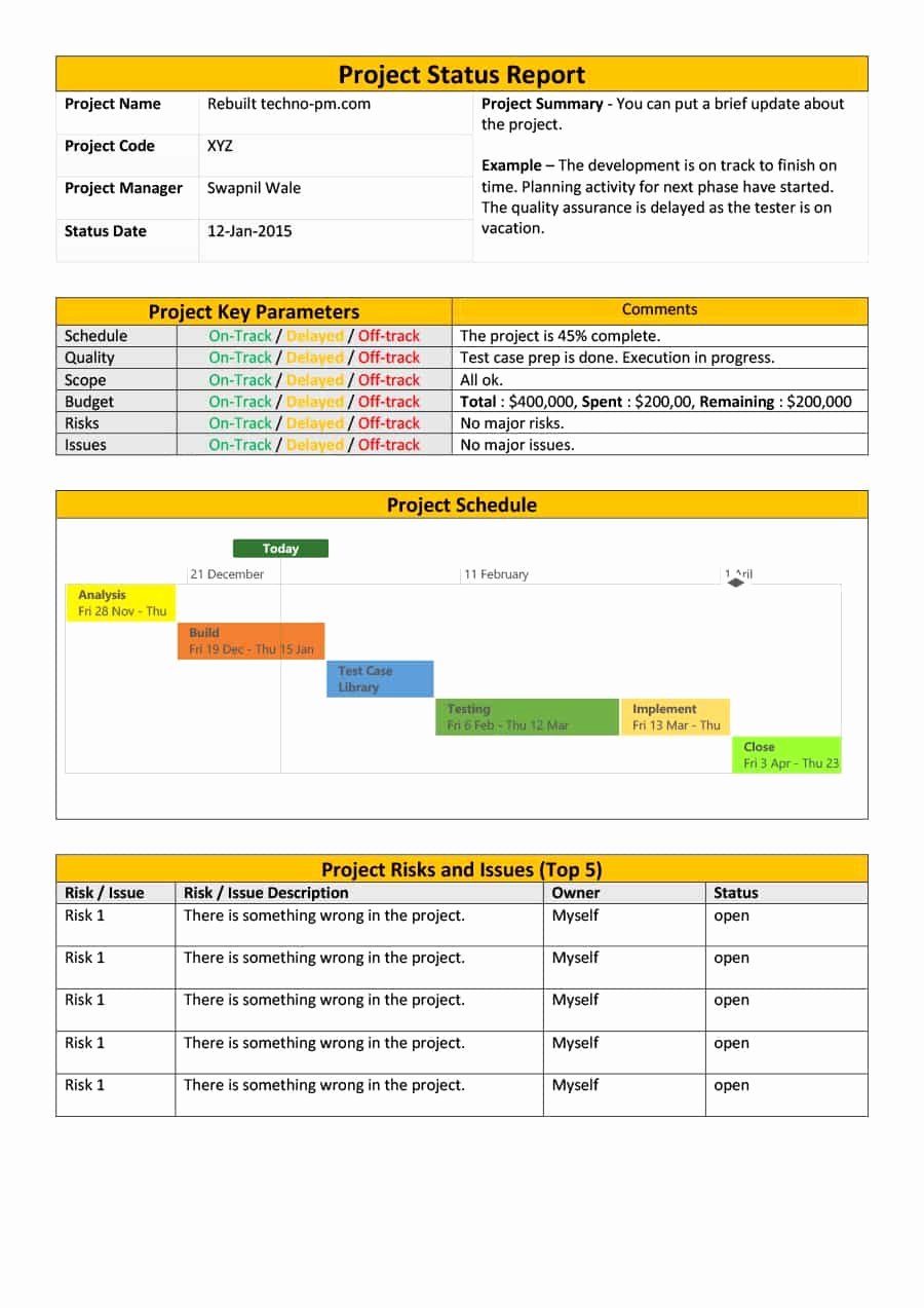 Status Report Template Excel Awesome 12 13templates for Status Reports