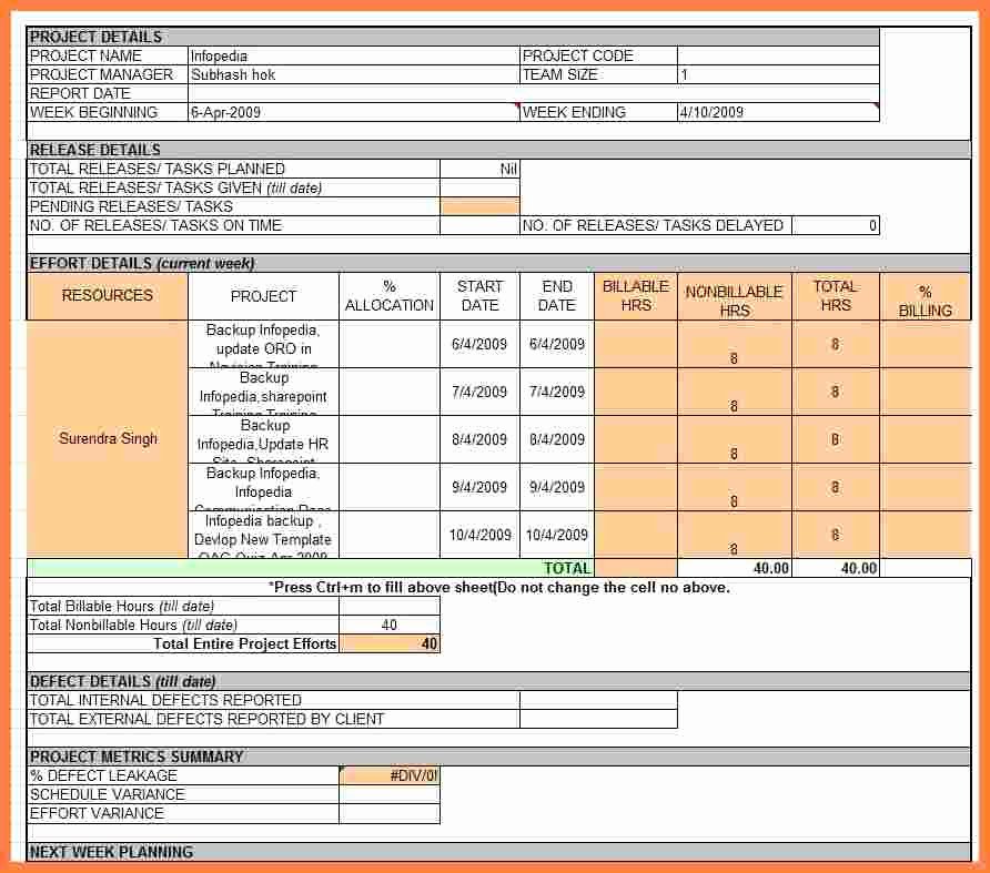 Status Report Template Excel Awesome 6 Employee Weekly Status Report Template