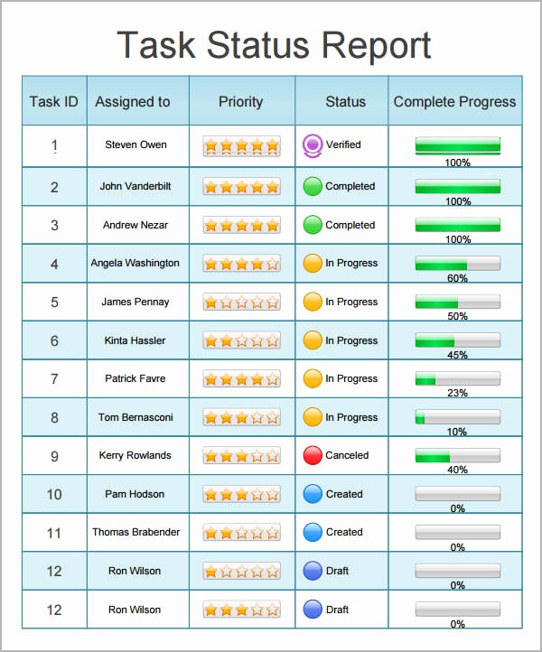 Status Report Template Excel Lovely Sample Status Report Template 7 Free Documents Download