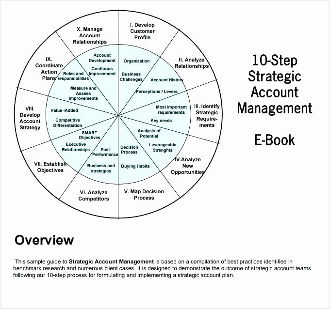 Strategic Account Planning Template Fresh Key Account Management Plan Template Smaphonavifo