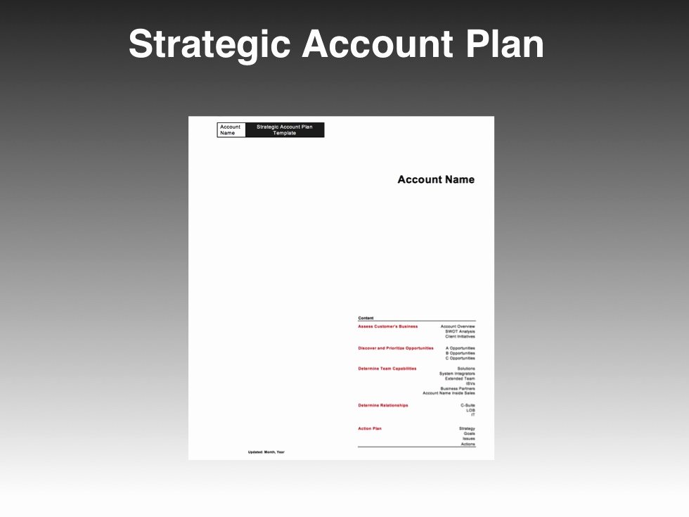 Strategic Sales Planning Template Awesome Strategic Account Plan Template Four Quadrant Go to