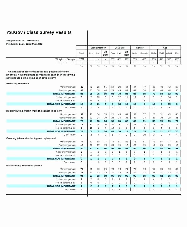 Survey Results Excel Template New Survey Template Excel Customer Satisfaction Survey