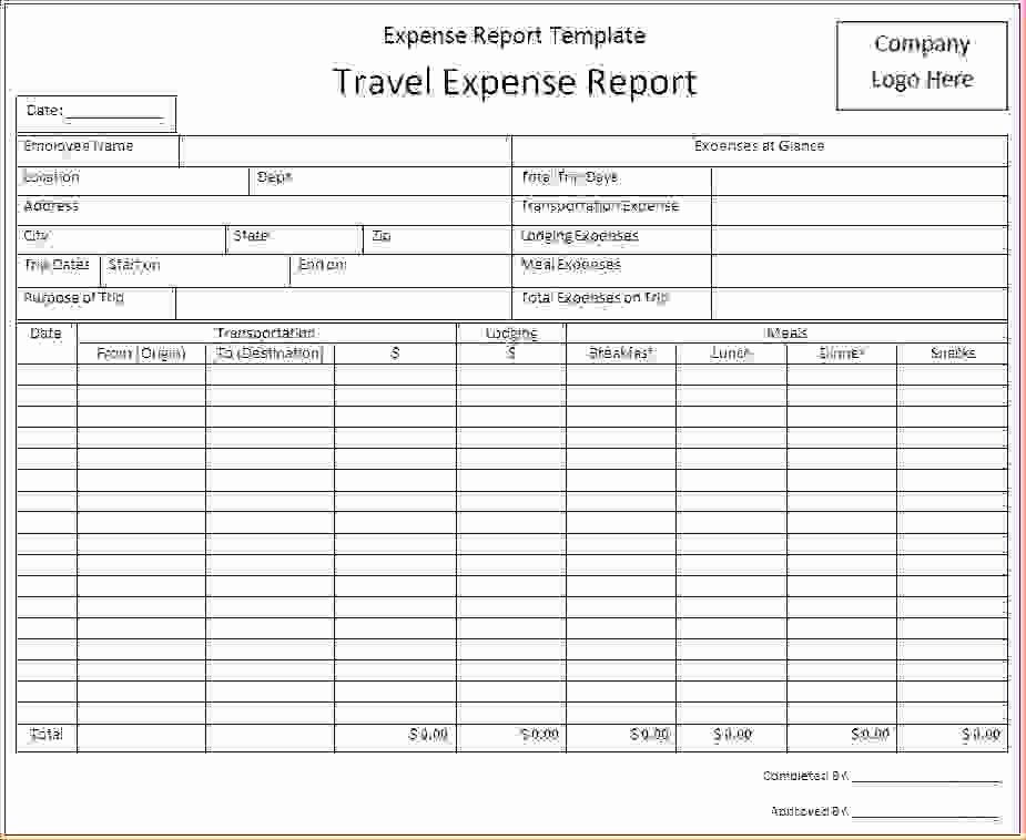 Template for Expense Report Awesome 5 Free Expense Report Template
