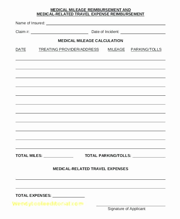 Travel Reimbursement form Template Luxury Travel Expense form Template – Chaseevents