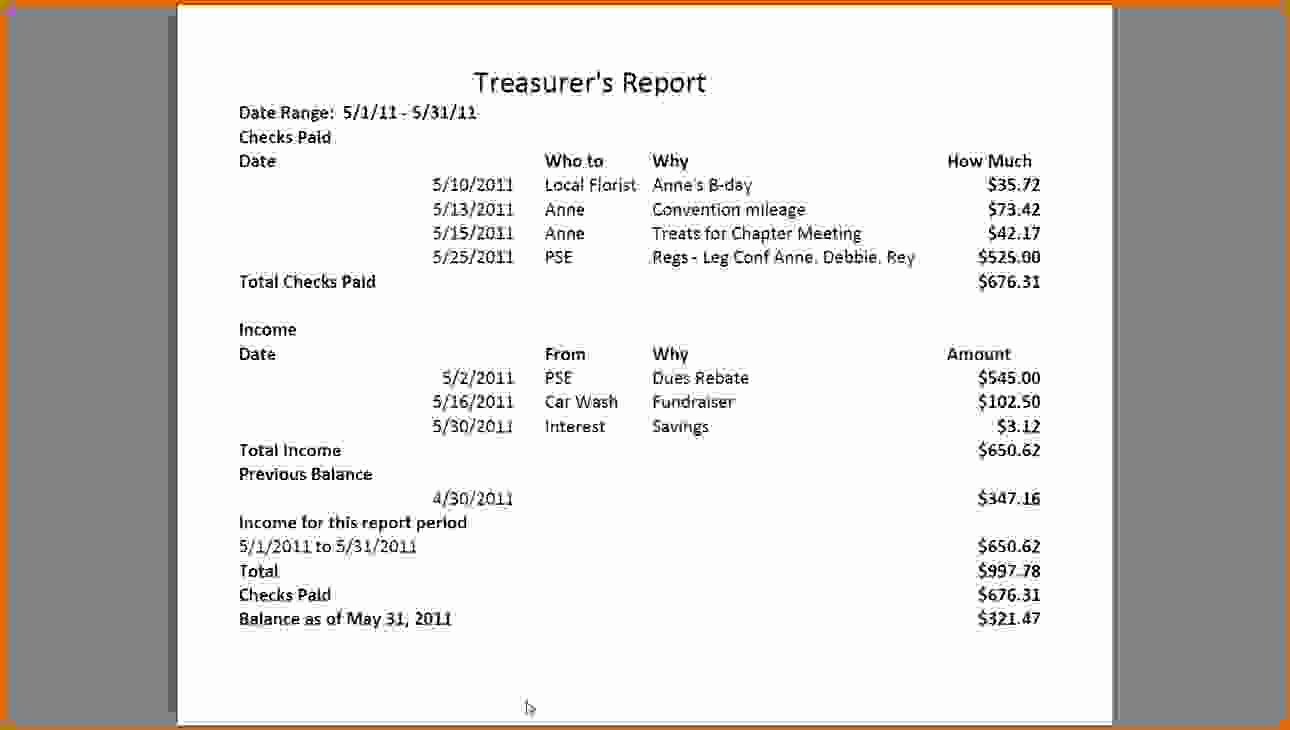 Treasurer Report Template Non Profit Luxury 12 Sample Treasurer’s Report for Non Profit