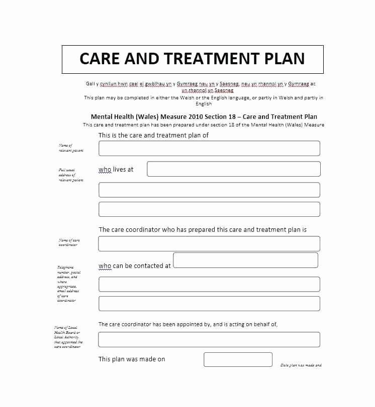 Treatment Plan Template Mental Health Awesome Case Notes Template Management Service Plan Treatment