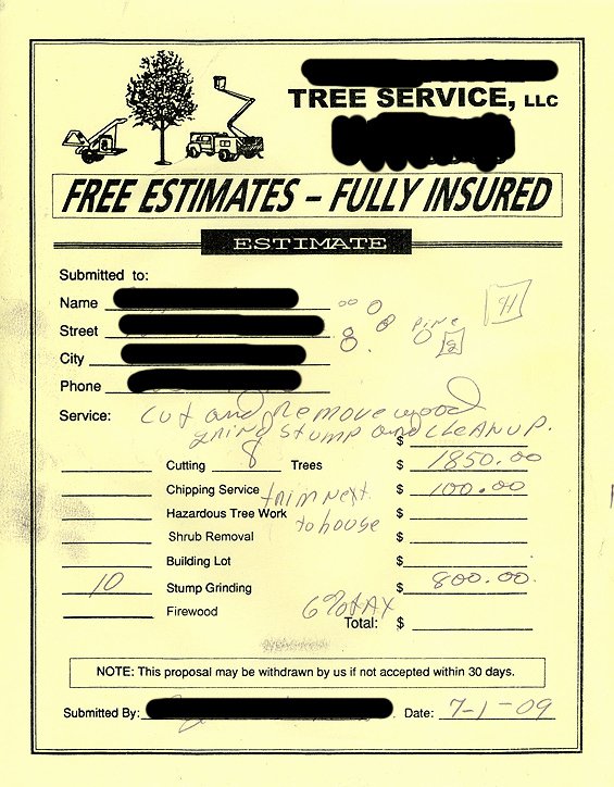 Tree Trimming Estimate Template