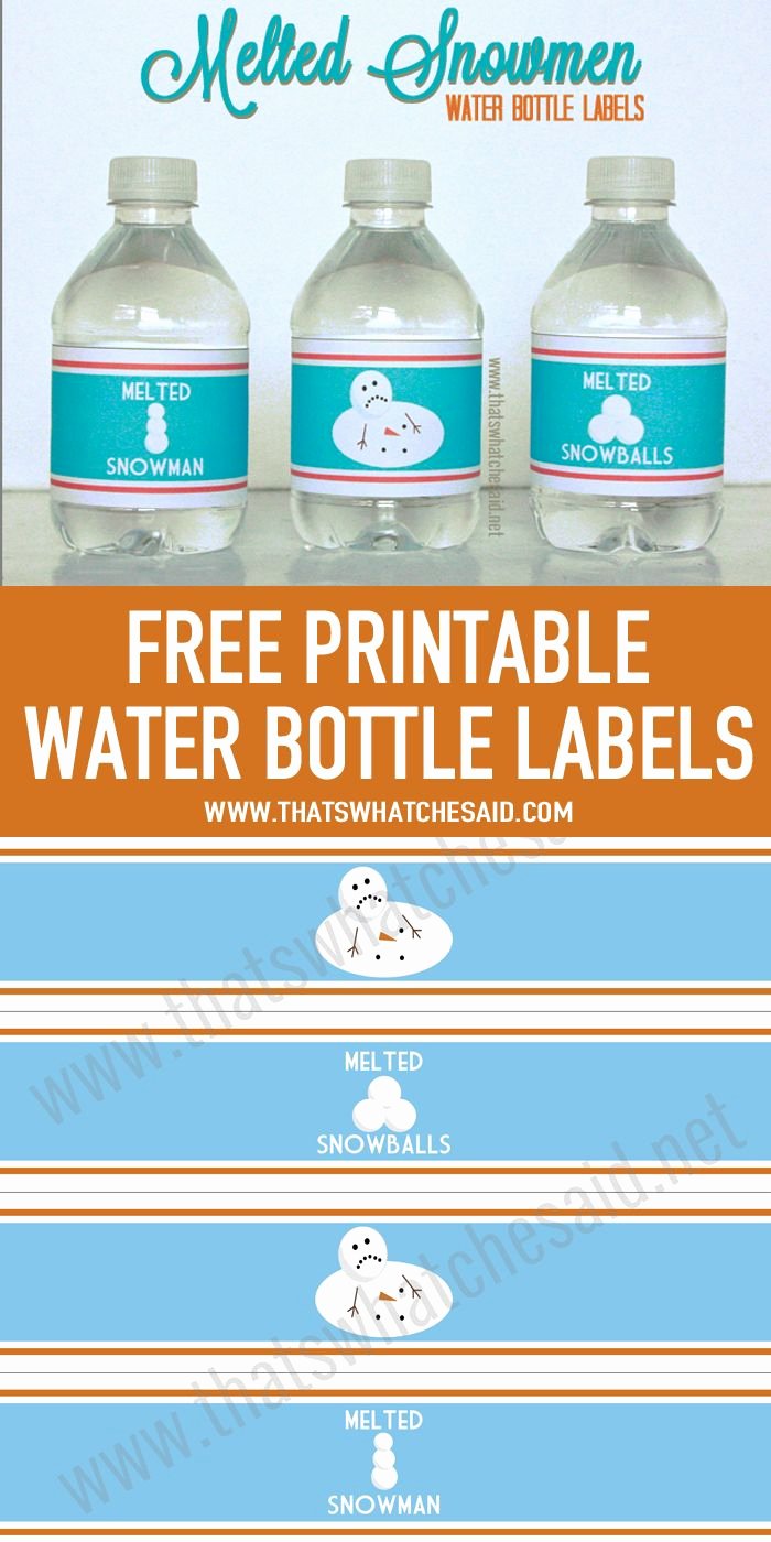 Water Labels Template Free Beautiful 25 Best Ideas About Melted Snowman On Pinterest
