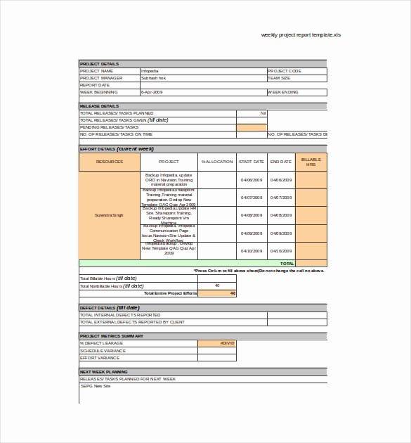 Weekly Project Status Report Template Inspirational 24 Weekly Report Templates Doc Excel Pdf