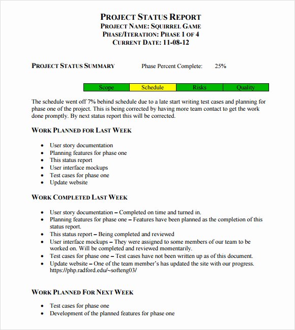 Weekly Project Status Report Template Lovely Sample Weekly Status Report 7 Documents In Pdf Word