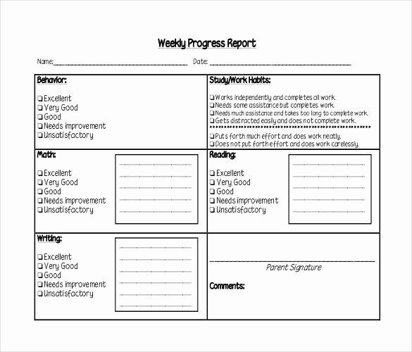 Weekly Report Template Excel Inspirational 24 Weekly Report Templates Doc Excel Pdf