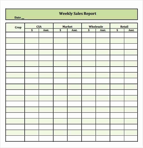 Weekly Sales Activity Report Template Lovely 6 Free Sales Report Templates Excel Pdf formats