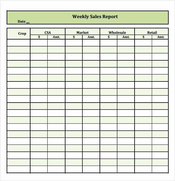 Weekly Sales Activity Report Template New 13 Sales Report Samples