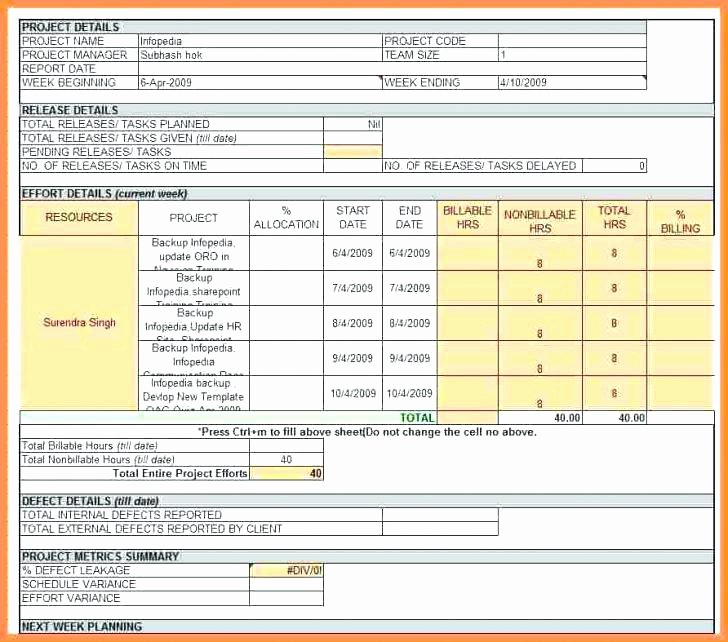 Weekly Status Report Template Excel Beautiful to Project Weekly Status Report Template Excel Sales Free