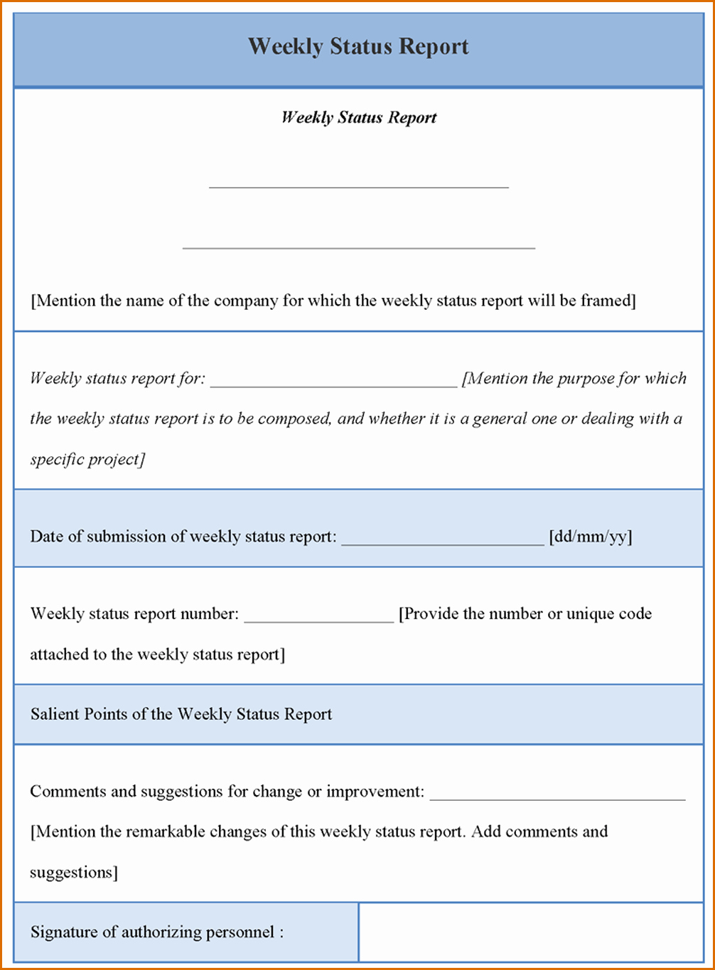 Weekly Status Report Template Word Unique 12 Monthly Status Report Template