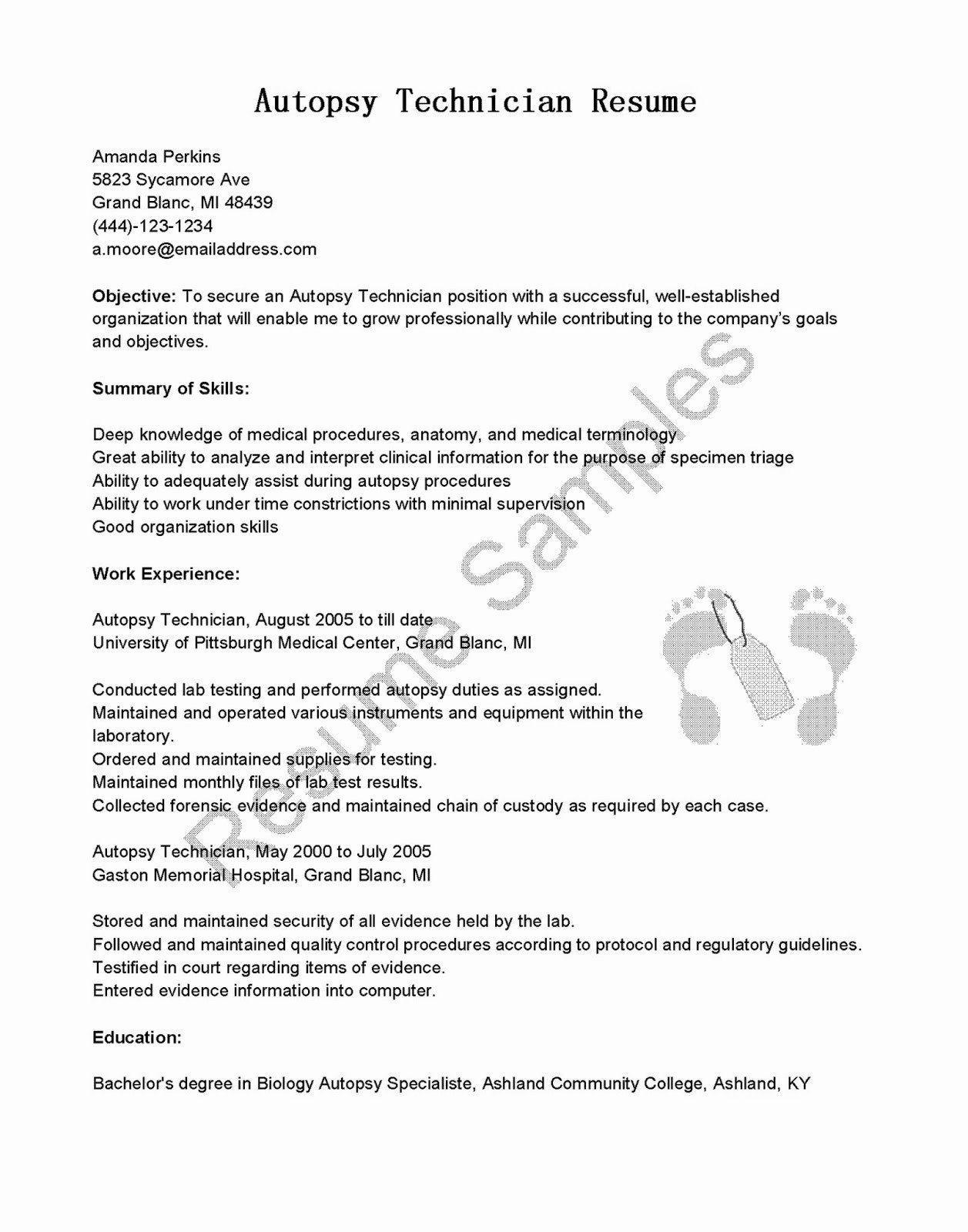 Word Doc Cover Letter Template New Word Document Cover Letter Template Examples