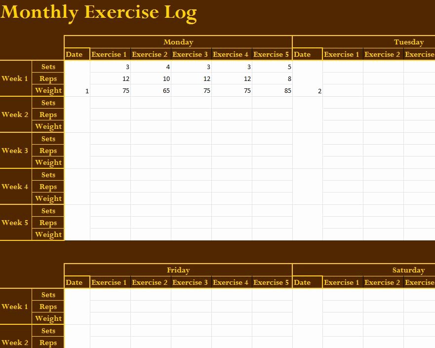 Workout Log Template Excel Awesome Monthly Exercise Log My Excel Templates