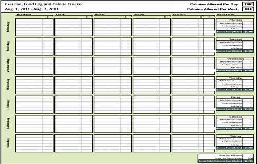 Workout Log Template Excel Best Of 5 Free Food Journal Templates Excel Pdf formats