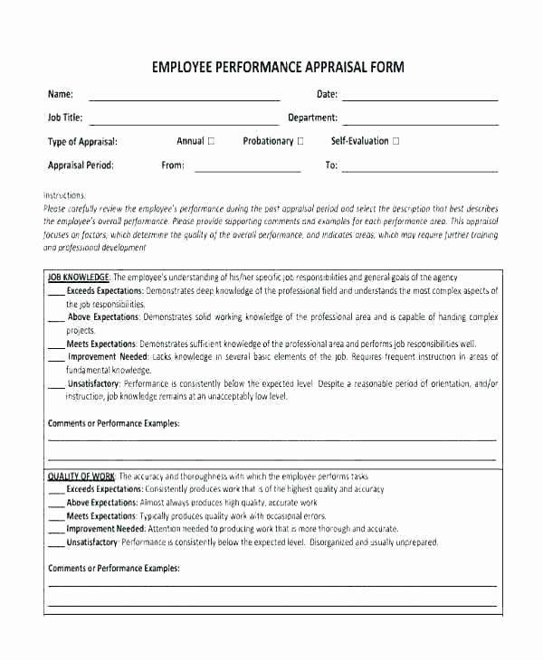 Year End Review Template Lovely Annual Performance Appraisal Template Employment form